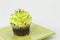 Chocolate Cupcake with Green Frosting