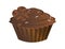 Chocolate cupcake isolated