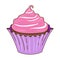 Chocolate Cupcake Pink Icing