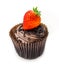 Chocolate Cupcake and Strawberry