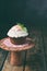 Chocolate cupcake with vanilla cream and mint leaf. Happy Birthday. Dark photo