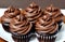 Chocolate cupcakes on a white plate. Close-up