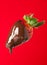 Chocolate dipped strawberry on red background