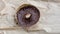 Chocolate donut appears on a piece of bakery paper and then spins around 360 degrees