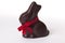 Chocolate Easter Bunny