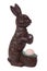 Chocolate easter bunny