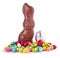 Chocolate Easter Rabbit and eggs