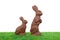 Chocolate Easter Rabbits