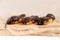 Chocolate eclair on wooden desk food photography. Bekery, cake , choco, pie, confectionary, cream. Three fresh eclairs with chocol