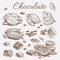 Chocolate elements collection. Hand drawing cocoa beans, chocolate bars and leaves
