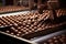 Chocolate factory excellence: crafting sweet delights