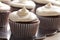 Chocolate gourmet cupcakes