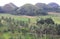 Chocolate Hills and Agriculture Fields