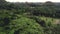 Chocolate Hills foggy peaks aerial shot. Unique Philippines geological formation with grassy meadows