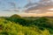 Chocolate Hills - the main attraction of the Philippines