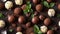 chocolate ice cream cold mint on a product portion ball refreshing brown summer gourmet