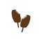 Chocolate ice cream with stick illustration on white background. sweet dessert. hand drawn vector. two sweet ice creams. doodle ar