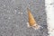 Chocolate icecream cone dropped on the concrete floor