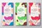 Chocolate Labels Set. Abstract Vector Packaging Design Layouts Collection. Modern Typography, Hand Drawn Lychee, Kiwi