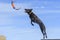 Chocolate Labrador Retriever with the blue sky behind her catching a toy