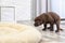 Chocolate Labrador Retriever puppy pooping on floor