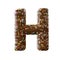 Chocolate letter H Isolated on white background