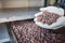 Chocolate making factory worker holding cocoa beans over a tray