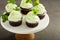 Chocolate mint cupcakes with green frosting