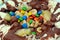 Chocolate mixture with biscuit and different types of chocolate pieces and cream with fresh pineapple ananas and bananas pieces on