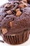 Chocolate Muffin