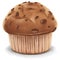 Chocolate Muffin