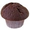 Chocolate muffin closeup Isolated