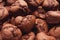 Chocolate Muffins Closeup