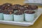 Chocolate Muffins with Light Blue Wrappers