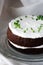 Chocolate Naked Cake with Cream Frosting and Decorated with Fresh Thyme