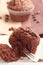 Chocolate oat bran muffins