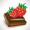 Chocolate piece with berry fruit