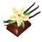 Chocolate piece and vanilla flower isolated