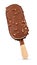 Chocolate popsicle. Ice cream isolated