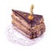 Chocolate-praline cake with ground-cherry berry, Watercolor