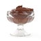 Chocolate pudding in dessert dish