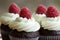 Chocolate and raspberry cupcakes