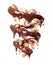 Chocolate splashes in spiral shape with with various nuts, isolated on a white background