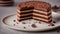 Chocolate sponge cake (biscuit) cut in circle layers stacked on ceramic plate with crumbs. Sponge