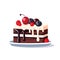 CHOCOLATE SPONGE CAKE WITH CHEERY AND BERRY TOPPING