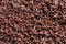 Chocolate sprinkles background. Brigadeiro de panela.