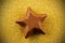 Chocolate star on sparkly background