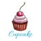 Chocolate tart cupcake icon