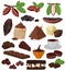 Chocolate vector cartoon cocoa choco sweet food from coco-beans cake confection illustration set of tropical fruit and