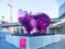 Choi Jeong-Hwa: Love Me, Pig to celebrate Lunar New Year 2019 in the Darling Harbour, Project.